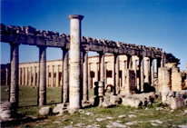 Forum de Cyrne