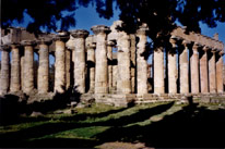 Temple de Zeus  Cyrne